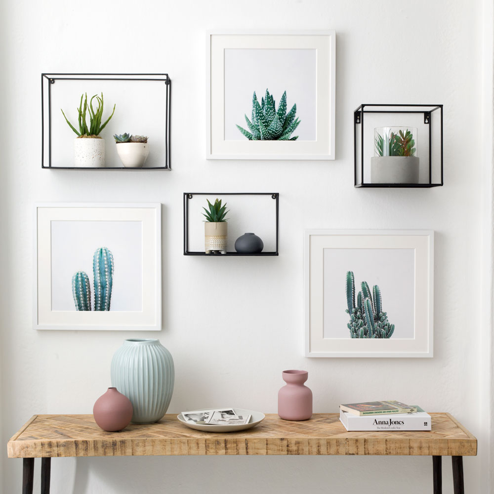 gallery wall idea with real plants